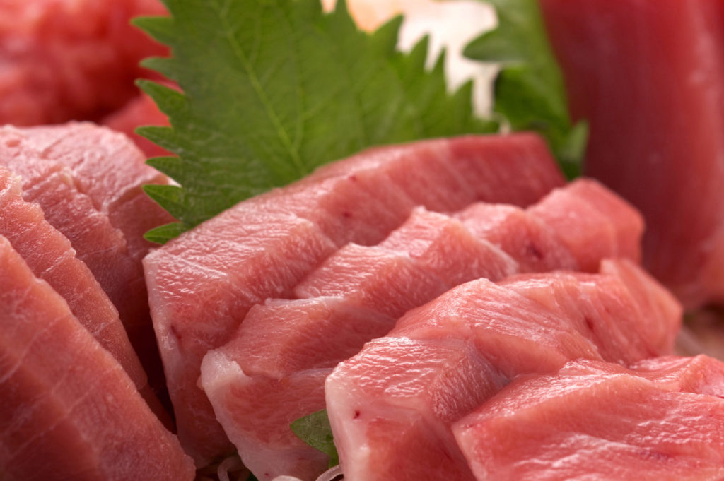 マグロはやっぱり人気の食材？その生態や種類について知ろう！